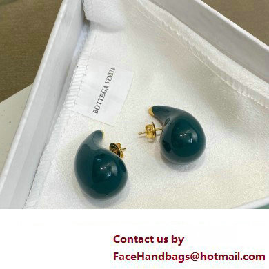 Bottega Veneta Earrings 13 2023