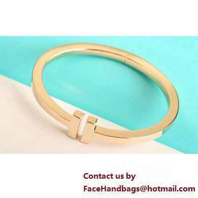 Tiffany Bracelet 04 2023