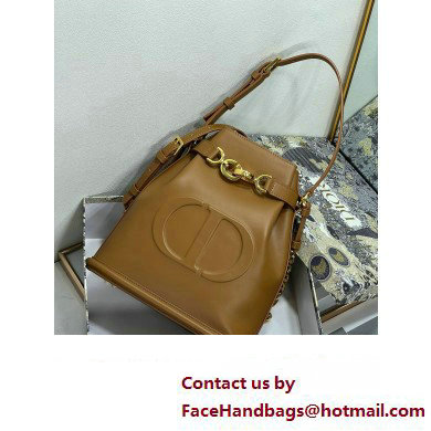 dior Golden Saddle CD-Embossed Calfskin Medium C'est Bag 2023