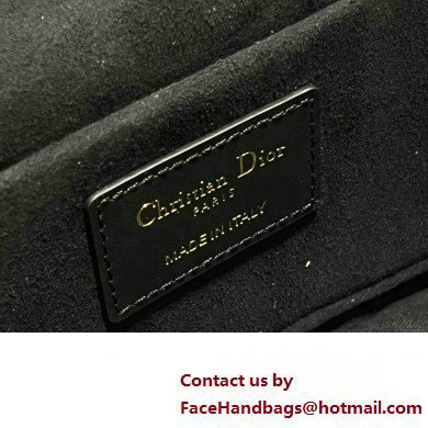 dior black calfskin Small CD Signature Vanity Case 2023