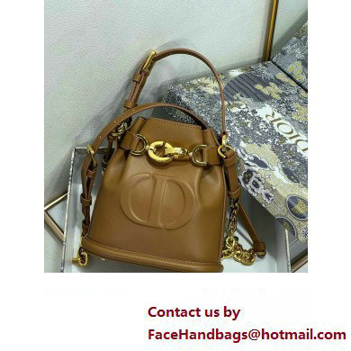 dior golden CD-Embossed Calfskin small C'est Bag 2023