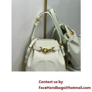 dior white Saddle CD-Embossed Calfskin Medium C'est Bag 2023