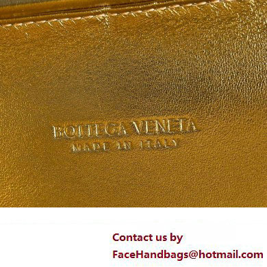 Bottega Veneta Knot Intreccio lamina leather minaudiere with leather sequins Bag Gold 2024