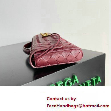 Bottega Veneta Long Clutch Andiamo With Handle Intrecciato leather bag BAROLO with metallic knot closure 2024