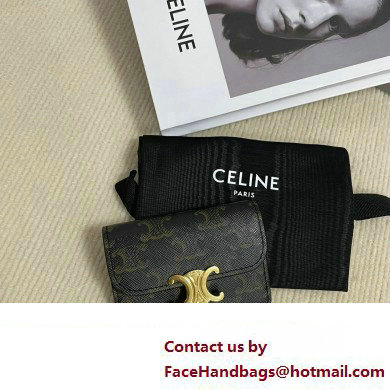 CELINE CARD HOLDER WITH FLAP TRIOMPHE in Triomphe Canvas Tan 10I582 2023