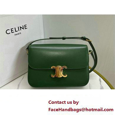 CELINE Classique Triomphe Bag in shiny calfskin Amazone 2024 - Click Image to Close