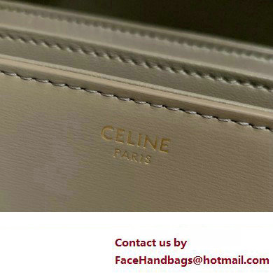 CELINE Classique Triomphe Bag in shiny calfskin pebble 2024