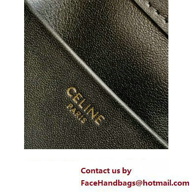 CELINE MINI BUCKET TRIOMPHE in SMOOTH CALFSKIN Black 2024