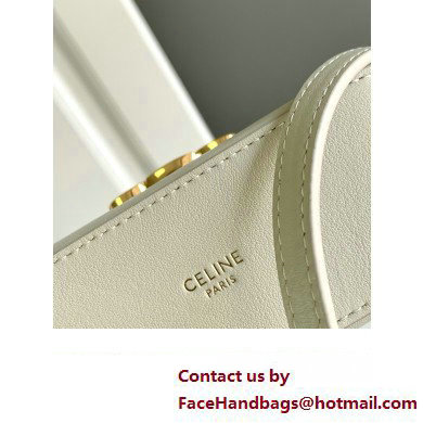 CELINE MINI BUCKET TRIOMPHE in SMOOTH CALFSKIN WHITE 2024