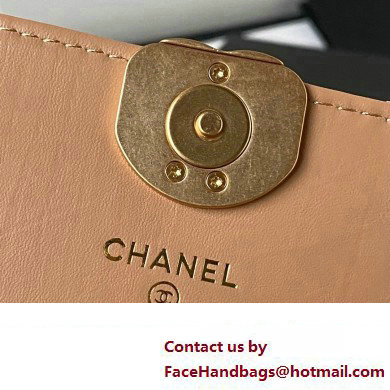 Chanel Crinkled Calfskin Clutch with Chain Bag AP3570 Brown 2023