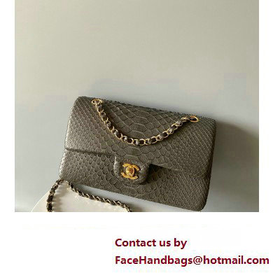 Chanel Python Medium Classic Handbag 1112 01 2023