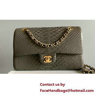 Chanel Python Medium Classic Handbag 1112 01 2023