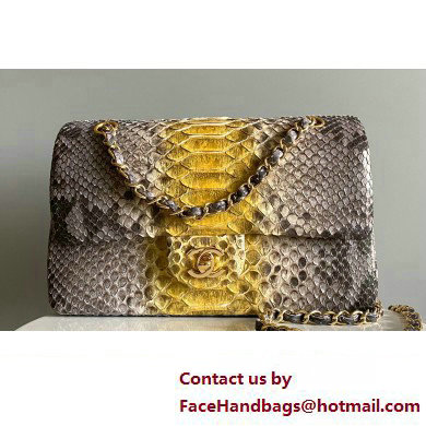 Chanel Python Medium Classic Handbag 1112 02 2023