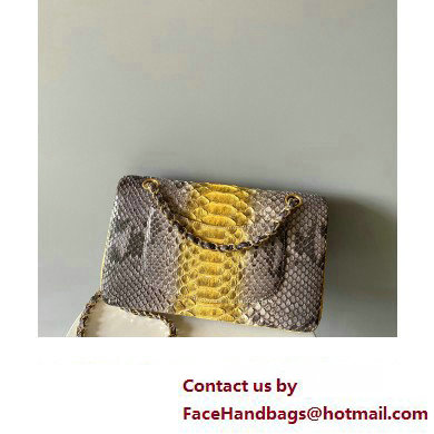 Chanel Python Medium Classic Handbag 1112 02 2023