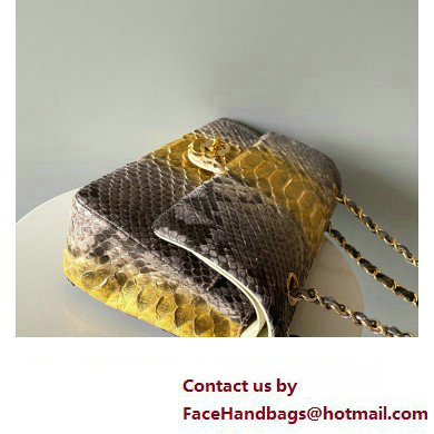 Chanel Python Medium Classic Handbag 1112 02 2023