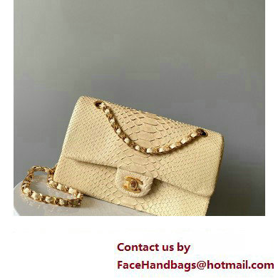 Chanel Python Medium Classic Handbag 1112 03 2023