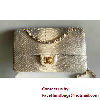 Chanel Python Medium Classic Handbag 1112 04 2023