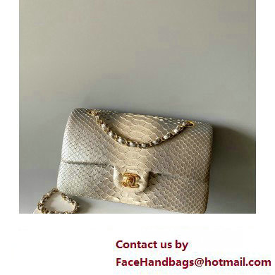 Chanel Python Medium Classic Handbag 1112 04 2023