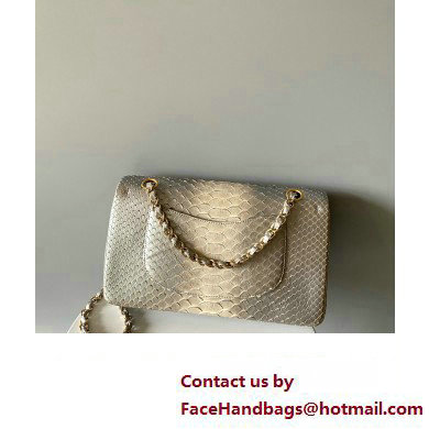 Chanel Python Medium Classic Handbag 1112 04 2023