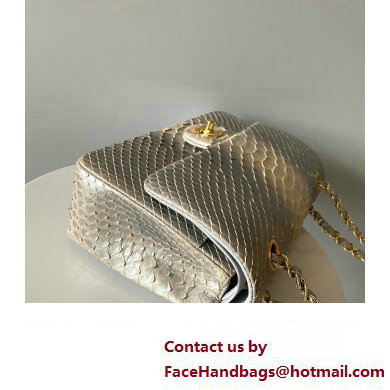 Chanel Python Medium Classic Handbag 1112 04 2023