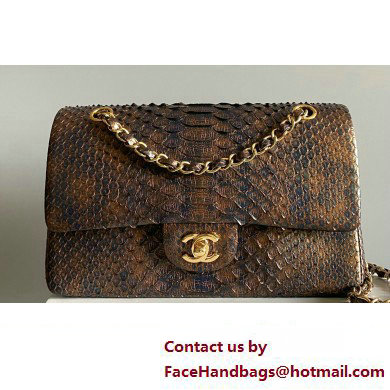 Chanel Python Medium Classic Handbag 1112 05 2023