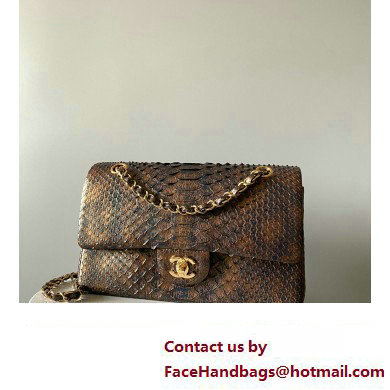 Chanel Python Medium Classic Handbag 1112 05 2023