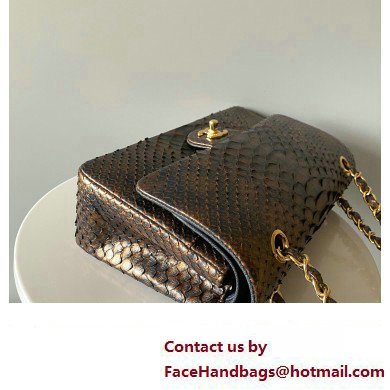 Chanel Python Medium Classic Handbag 1112 05 2023