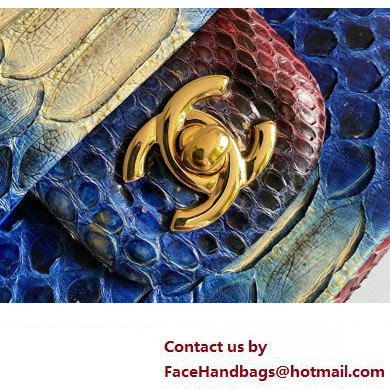 Chanel Python Medium Classic Handbag 1112 06 2023