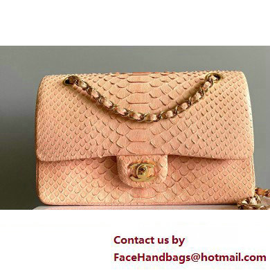 Chanel Python Medium Classic Handbag 1112 07 2023