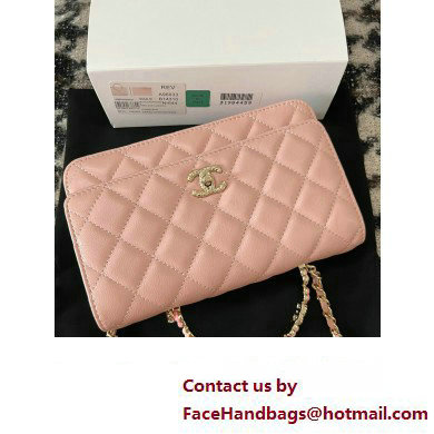 Chanel Small Flap Bag with Flower Top Handle A96033 Pink 2024