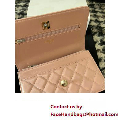 Chanel Small Flap Bag with Flower Top Handle A96033 Pink 2024