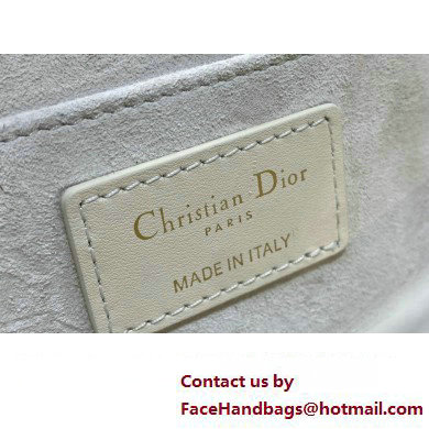 Dior Small 30 Montaigne Avenue Bag in Box Calfskin White 2024