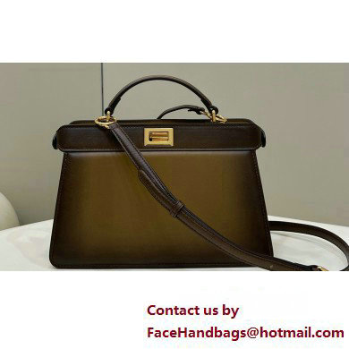 Fendi Peekaboo ISEEU East-West Bag Graduated Coffee