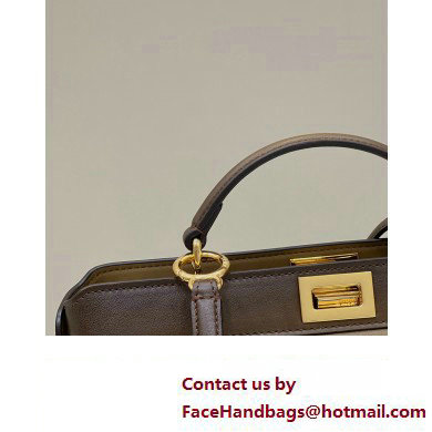 Fendi Peekaboo ISEEU East-West Bag Graduated Coffee