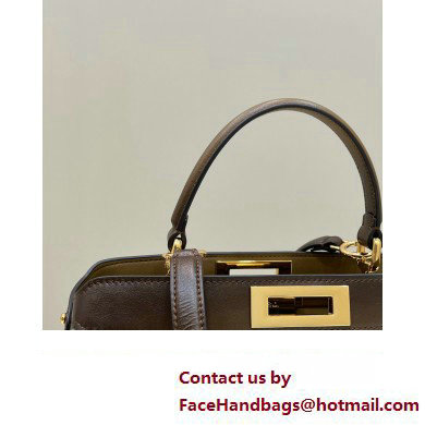 Fendi Peekaboo ISEEU Medium Bag Graduated Coffee