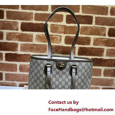 Gucci Ophidia GG mini tote bag 765043 2024