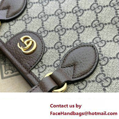 Gucci Ophidia GG mini tote bag 765043 2024