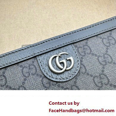 Gucci Ophidia GG pouch bag 760243 Gray 2024