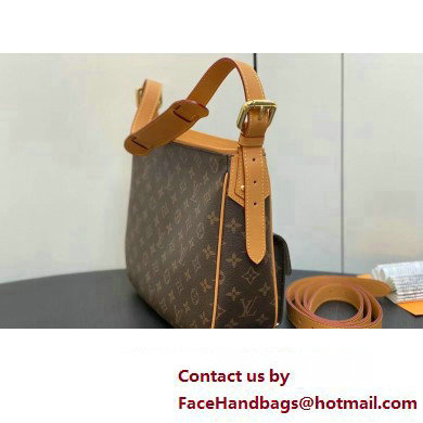 Louis Vuitton Monogram Canvas Hudson GM Shoulder Bag M40025 2023