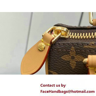 Louis Vuitton Monogram Canvas Nano Speedy Bag M82624 2023