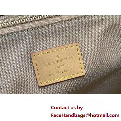 Louis Vuitton Monogram canvas OnTheGo PM Bag M24533 2024