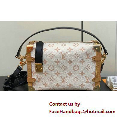 Louis Vuitton Monogram canvas Side Trunk Bag M46907 2024