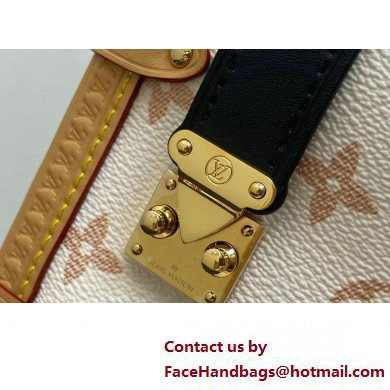 Louis Vuitton Monogram canvas Side Trunk Bag M46907 2024