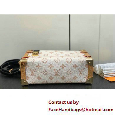 Louis Vuitton Monogram canvas Side Trunk Bag M46907 2024