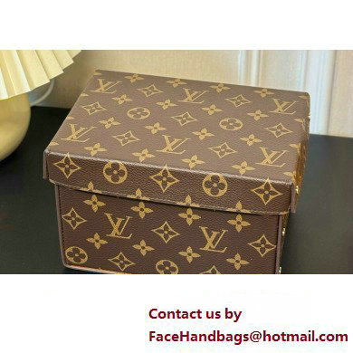 Louis Vuitton Vivienne Balloon Cardboard Box 07