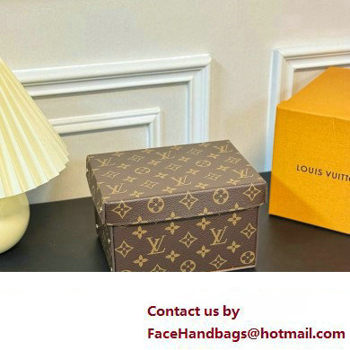 Louis Vuitton Vivienne Balloon Cardboard Box 07