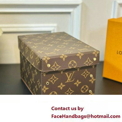 Louis Vuitton Vivienne Balloon Cardboard Box 07