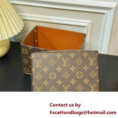 Louis Vuitton Vivienne Balloon Cardboard Box 07