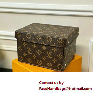 Louis Vuitton Vivienne Balloon Cardboard Box 07