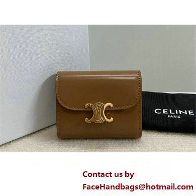 celine Small Wallet TRIOMPHE in Shiny calfskin Bronze 10D783 2023